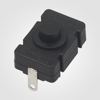 PBS101X Torch Push Button Switch