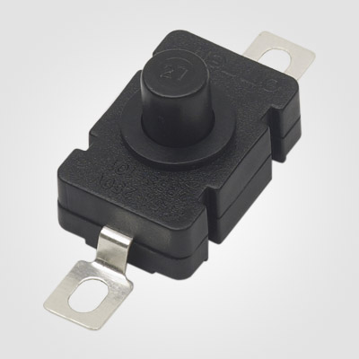 PBS101A Push Button Switch