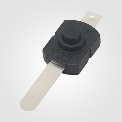 PBS101C400 Push Button Switch