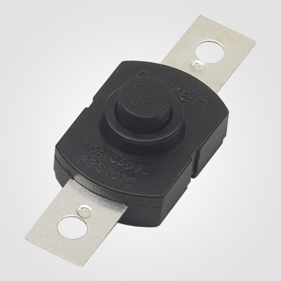 PBS101E288 Push Button Switch