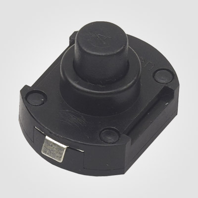 PBS101F Push Button Switch