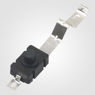 PBS101G1 Push Button Switch