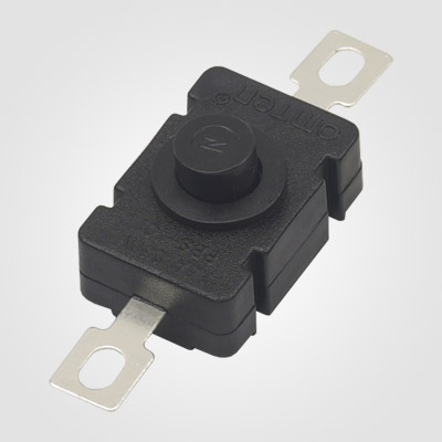 PBS101H2 Push Button Switch