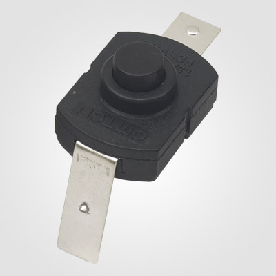 PBS101L Push Button Switch