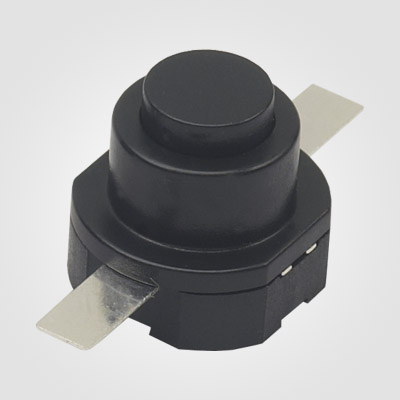 PBS101VA Push Button Switch