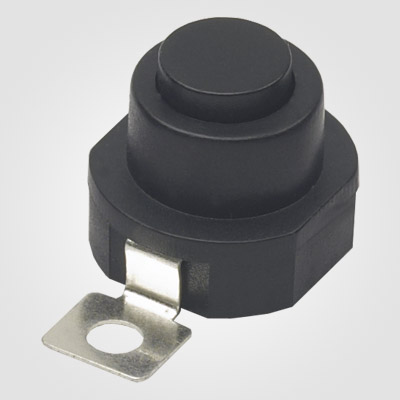 PBS101VTP Push Button Switch