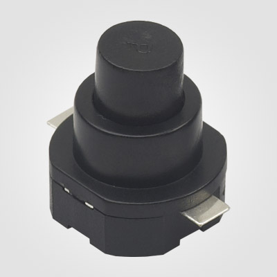 PBS101VT Push Button Switch