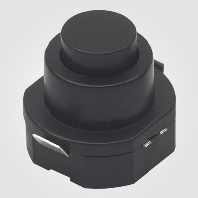 PBS101VW Torch light push button switch