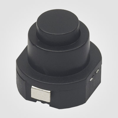 PBS101V Push Button Switch