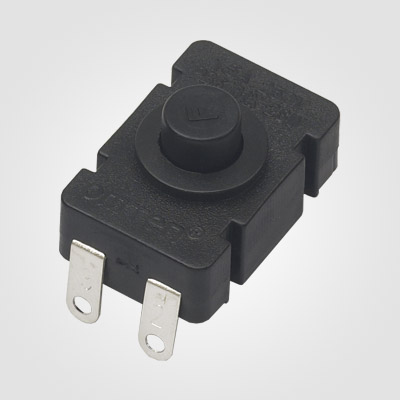 PBS101X-2SW Push Button Switch