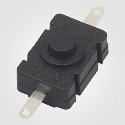 PBS101XB Push Button Switch