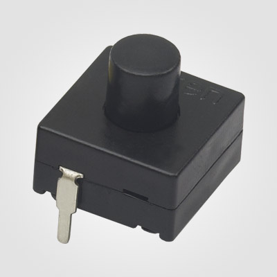 PBS1202AT Push Button Switch