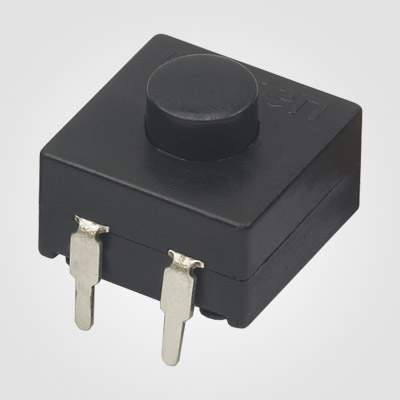 PBS1203D Torch PushButton Switch