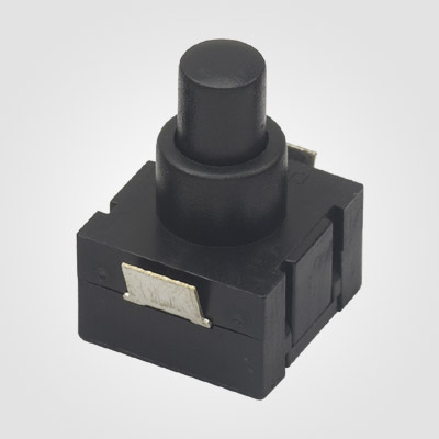 PBS180MBG Push Button Switch